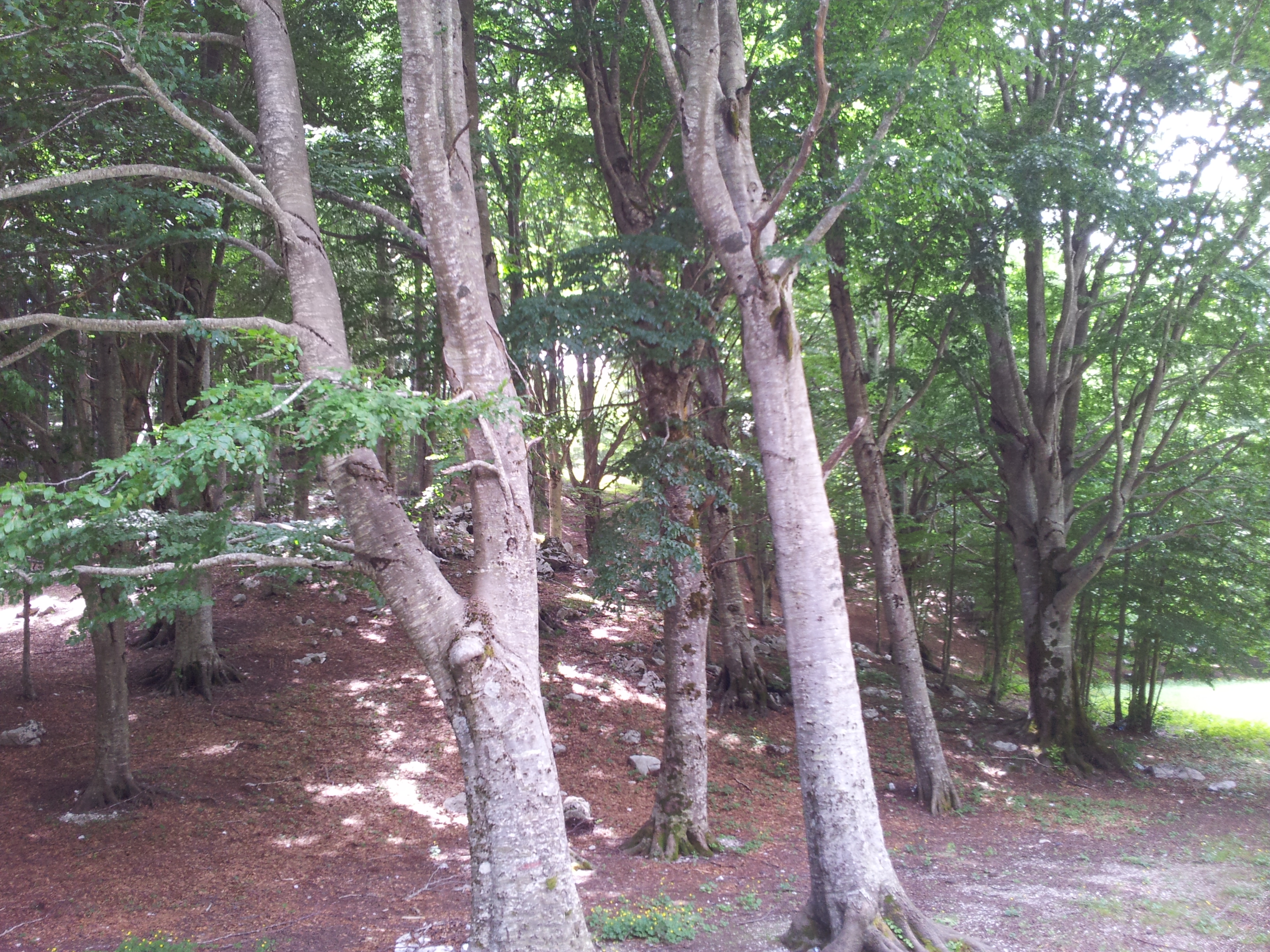 20150614_134320