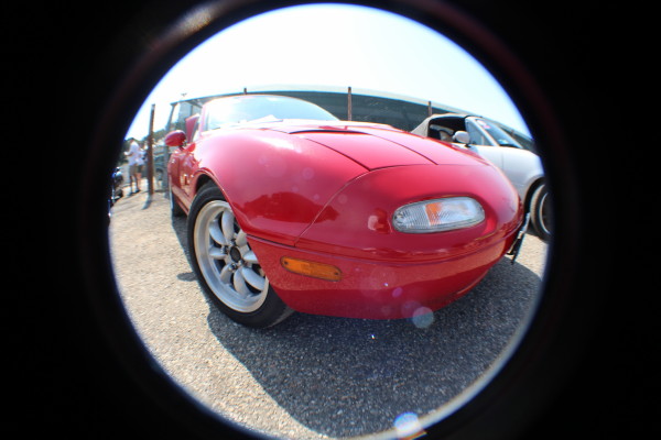 porchettaday2015003_1