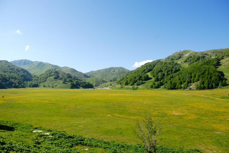 DSC_0097.jpg