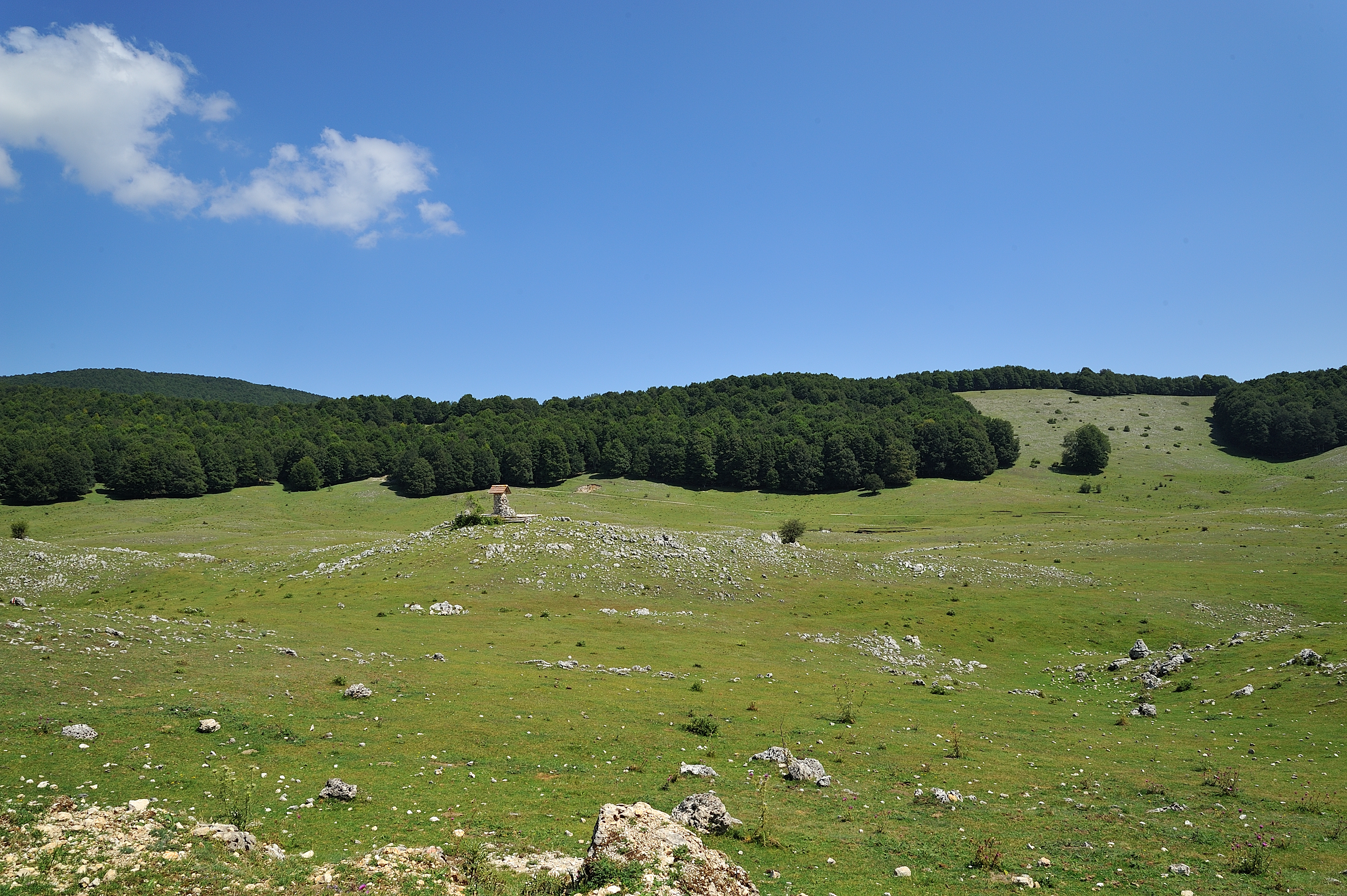 DCT_0945_00001.jpg