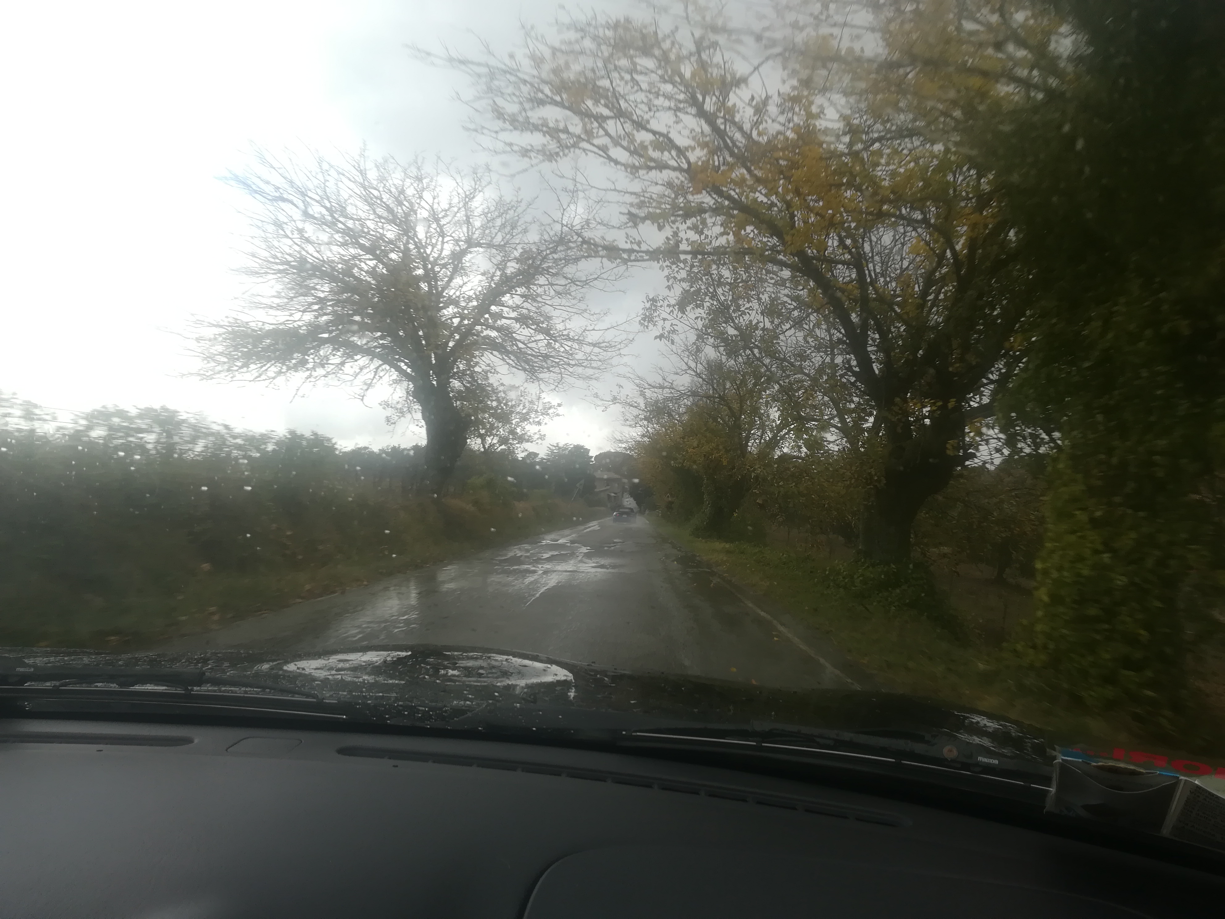 IMG_20181028_110021