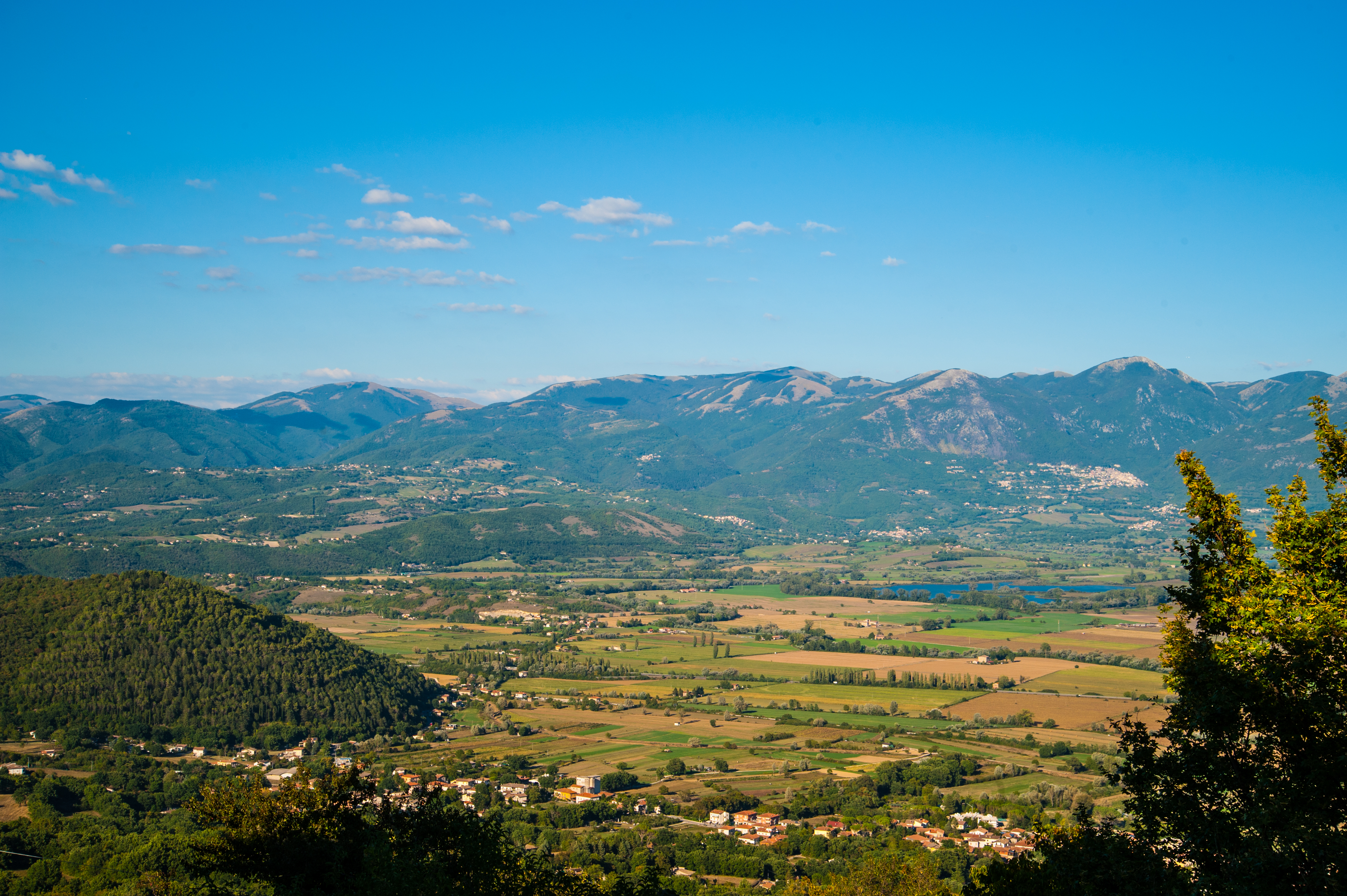DSC_2806.jpg