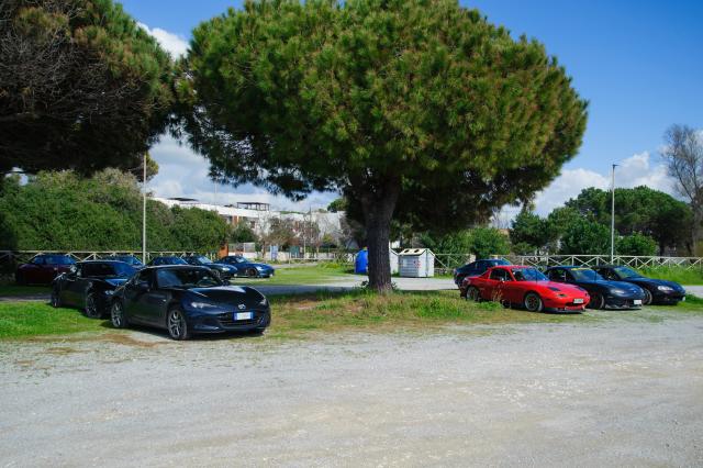 DSC_5567.jpg