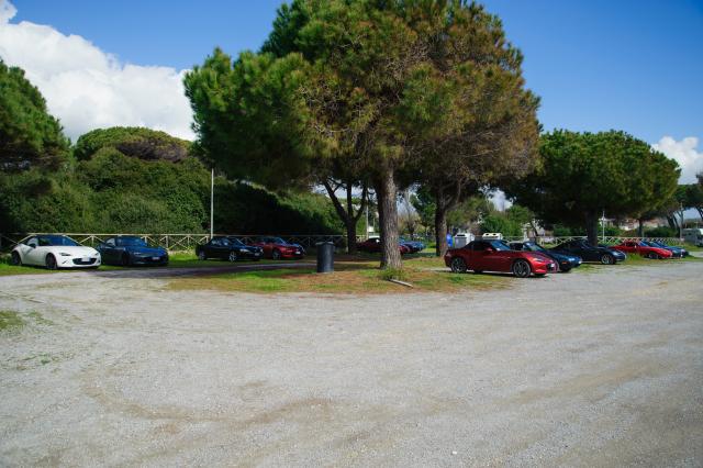 DSC_5568.jpg