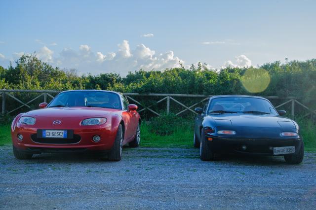 DSC_5576.jpg