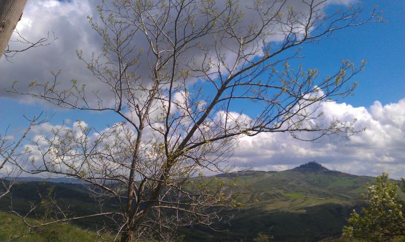 IMAG1248.jpg