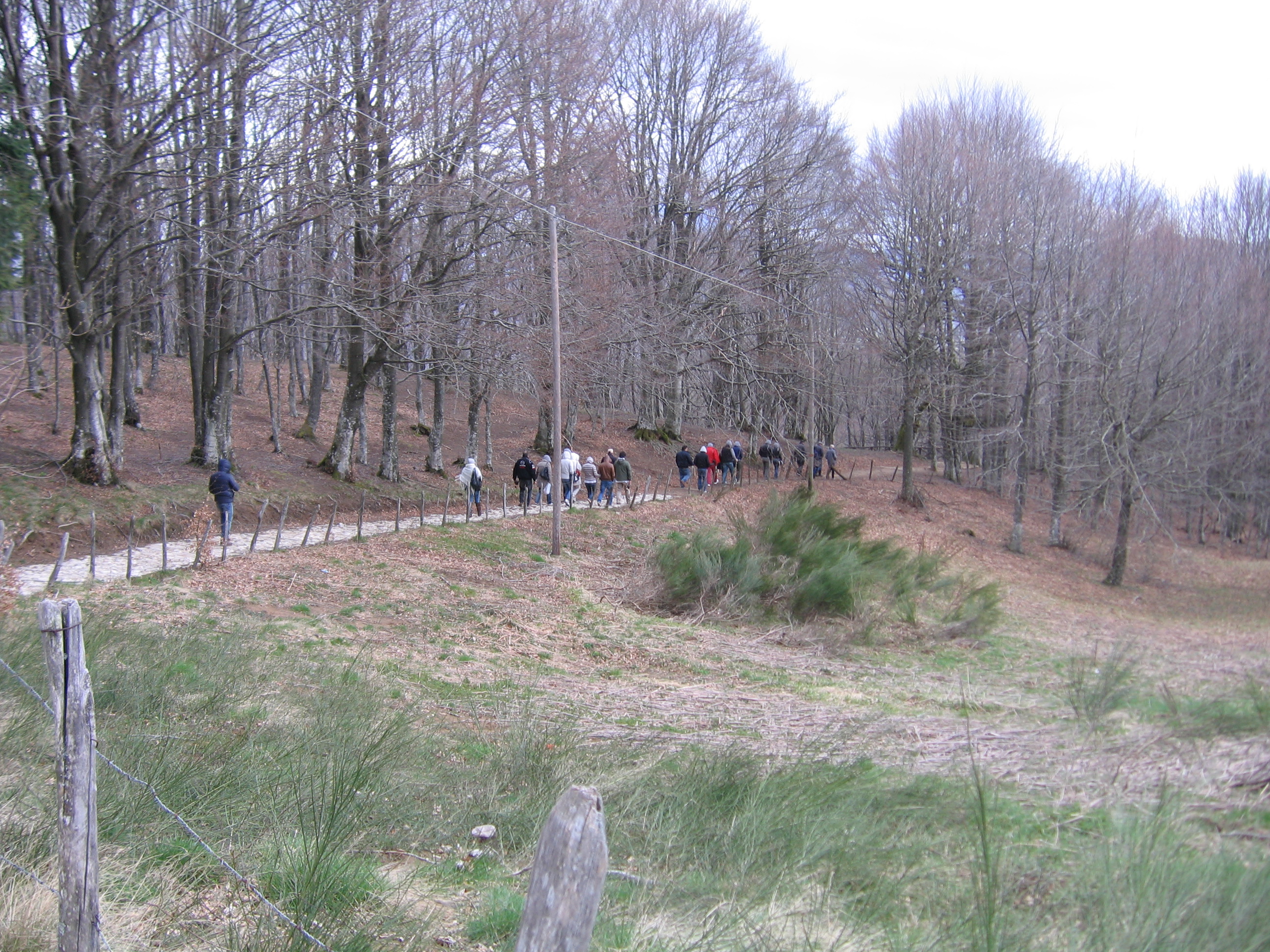 IMG_2704.jpg