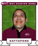 Gattapone