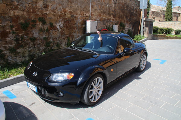 briganti 2015 042